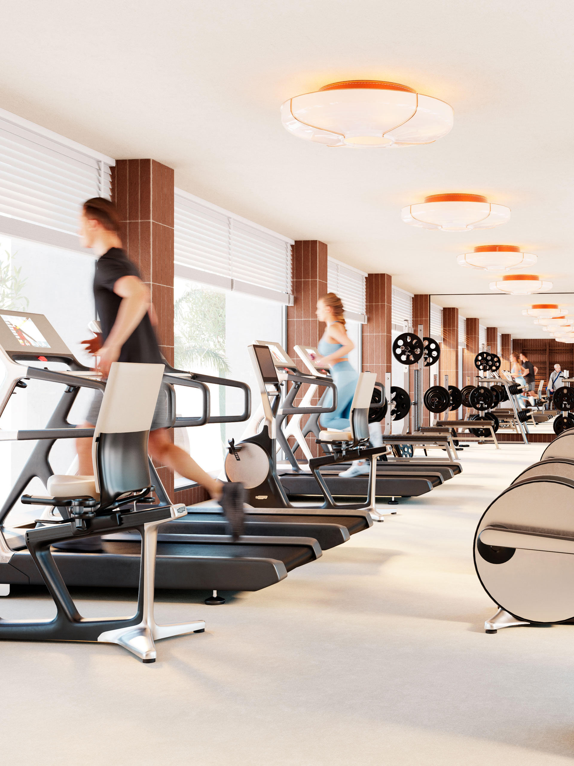 Gimnasio