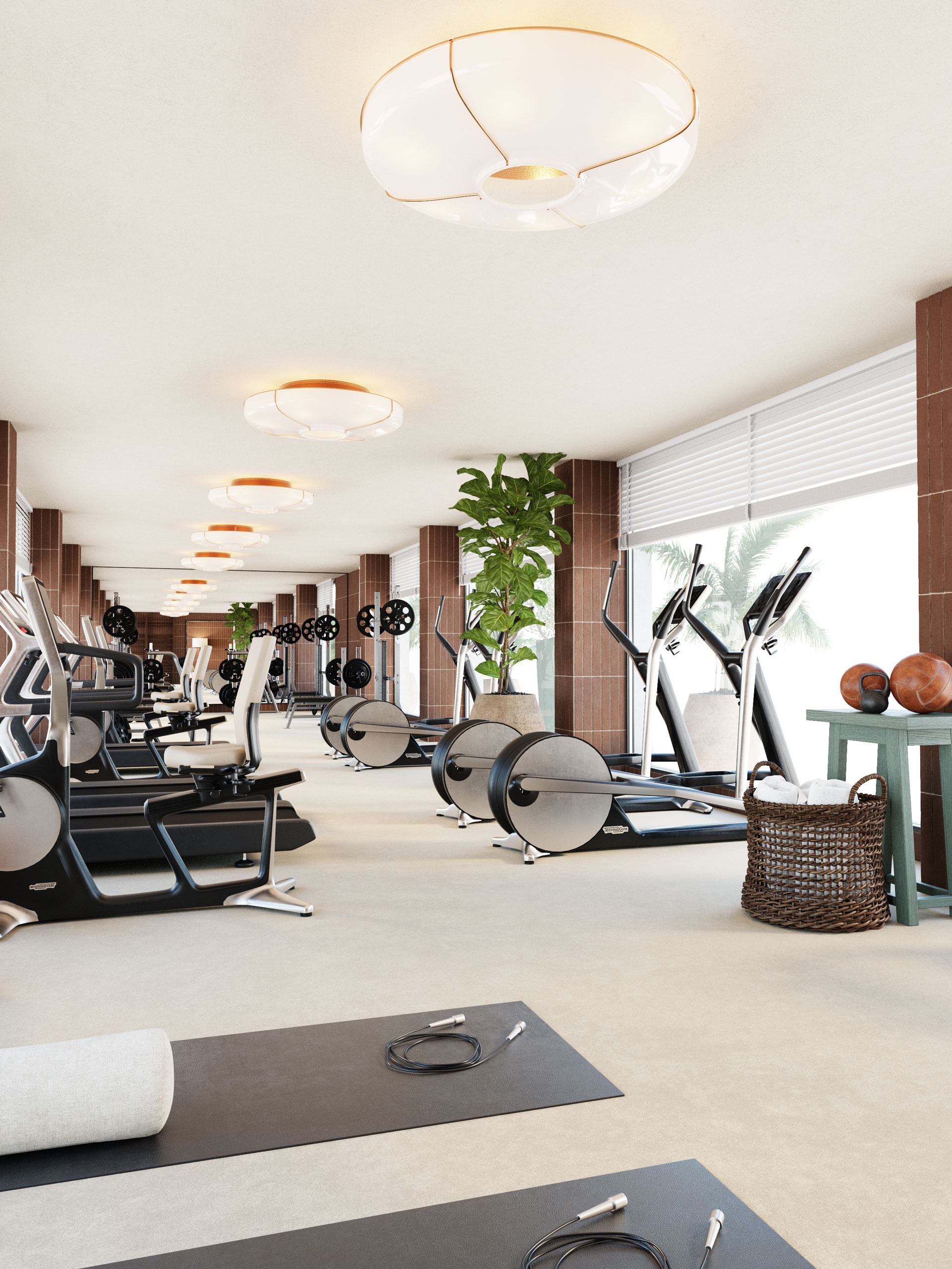 Equipamiento del gimnasio