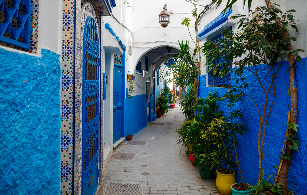 El Fuerte Marbella experiences - A Day in Tangier